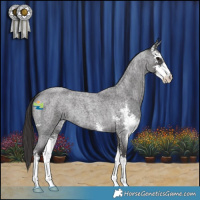 Horse Color:Smoky Blue Roan Sabino 