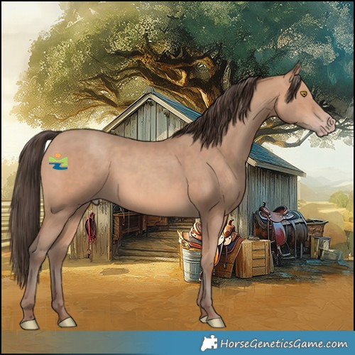 Horse Color:Amber Champagne 