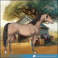 Horse Color:Amber Champagne 