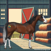 Horse Color:Brown Splash 