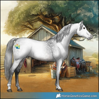 Horse Color:Gray Brown Roan 