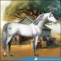 Horse Color:Gray Brown 