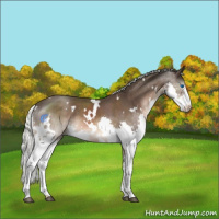 Horse Color:White Spotted Liver Chestnut Mushroom Splash 