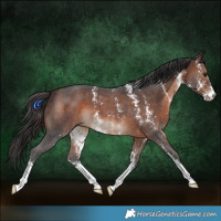 Horse Color:Brown Sabino
