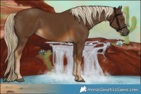 Horse Color:Chocolate Palomino 