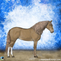 Horse Color:Chocolate Palomino Dun