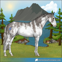 Horse Color:White Spotted Silver Black Sabino 