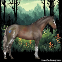 Horse Color:White Spotted Silver Black