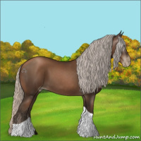 Horse Color:Gray Silver Black Pearl Tobiano 