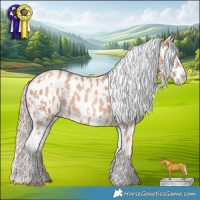 Horse Color:Gold Champagne Near Leopard and Gold Champagne Near Leopard