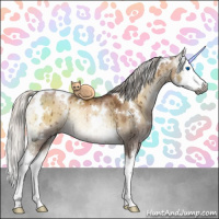 Horse Color:Gray White Spotted Silver Brown Pearl Onyx Splash Rabicano Brindle 