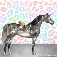 Horse Color:Gray White Spotted Brown Dun Mushroom Brindle