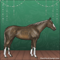Horse Color:Chocolate Palomino 