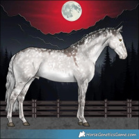 Horse Color:Platinum White Spotted Chocolate Palomino Dun Snowflake Varnish 