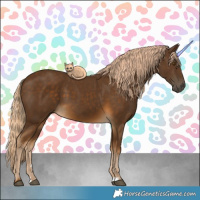 Horse Color:Chocolate Palomino 