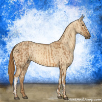 Horse Color:Chestnut  and Red Dun 