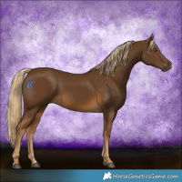 Horse Color:Chocolate Palomino 