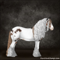 Horse Color:Liver Chestnut Tobiano Frame Appaloosa