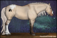 Horse Color:Silver Brown Dun Appaloosa 
