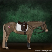 Horse Color:Chocolate Palomino 