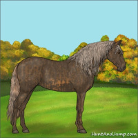 Horse Color:Chocolate Palomino  and Chocolate Palomino 