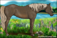 Horse Color:Chocolate Palomino 