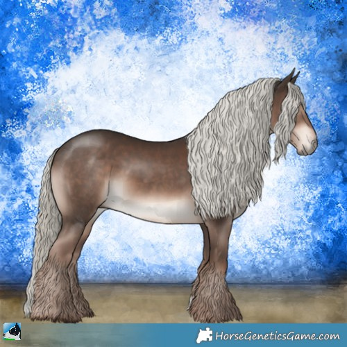 Horse Color:Liver Chestnut Mushroom 