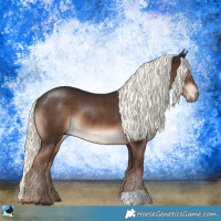 Horse Color:Liver Chestnut Mushroom Rabicano 