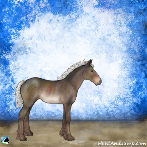 Horse Color:Liver Chestnut Mushroom Rabicano 