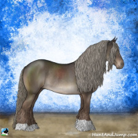 Horse Color:Liver Chestnut Mushroom Rabicano
