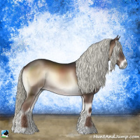 Horse Color:Liver Red Onyx Mushroom Rabicano 