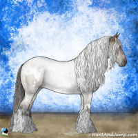 Horse Color:White Spotted Liver Red Dun 