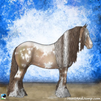 Horse Color:White Spotted Black Pearl Sabino Rabicano 
