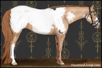 Horse Color:Gold Champagne Snowcap 