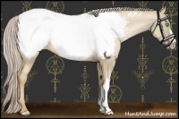 Horse Color:Chocolate Palomino Pearl Dun Near Fewspot 