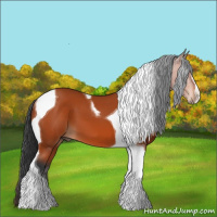 Horse Color:Bay Tobiano 