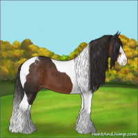 Horse Color:Liver Chestnut Sabino Splash Tobiano Appaloosa 