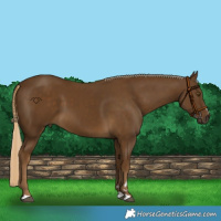Horse Color:Chocolate Palomino