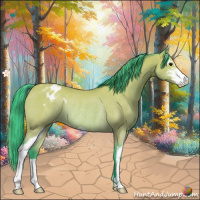 Horse Color:Watercolor Bay Sabino Appaloosa Rabicano 