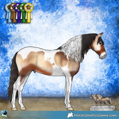 Horse Color:Bay Onyx Tobiano 