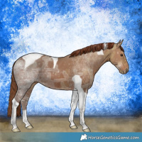 Horse Color:Chestnut Ice Tobiano 