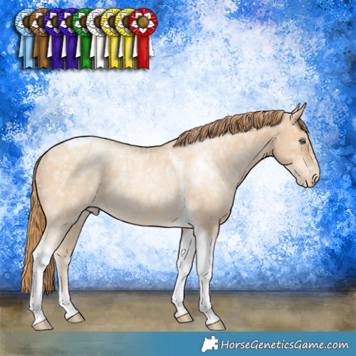 Horse Color:Buckskin Ice Pearl Mushroom Tobiano 