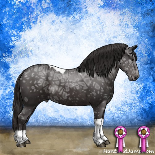 Horse Color:Smoky Black Ice Tobiano Rabicano 