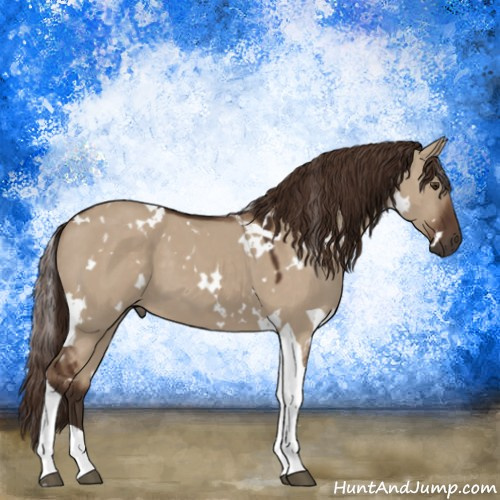 Horse Color:White Spotted Liver Red Dun Tobiano 