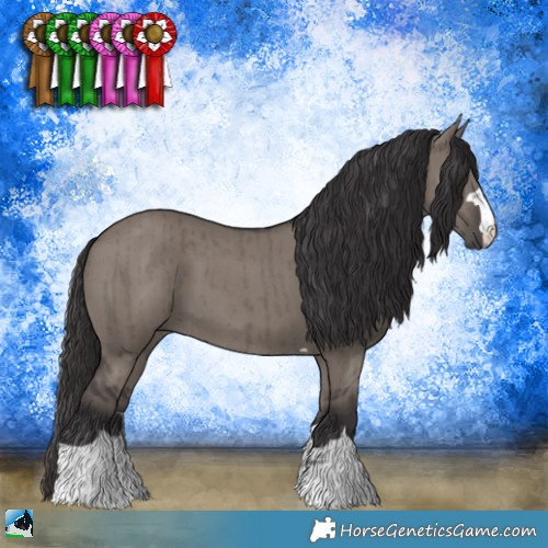 Horse Color:Smoky Grullo Mushroom Brindle 