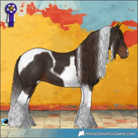 Horse Color:Liver Chestnut Tobiano