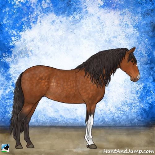 Horse Color:Buckskin Rabicano 