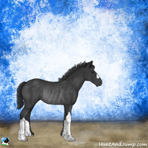 Horse Color:Black Mushroom Rabicano 