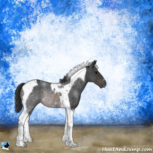 Horse Color:Brown Mushroom Tobiano Rabicano 