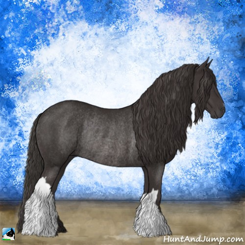 Horse Color:Smoky Black Mushroom Rabicano 